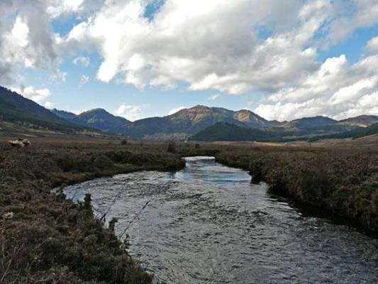 Probjika Valley (Michael Ball)
