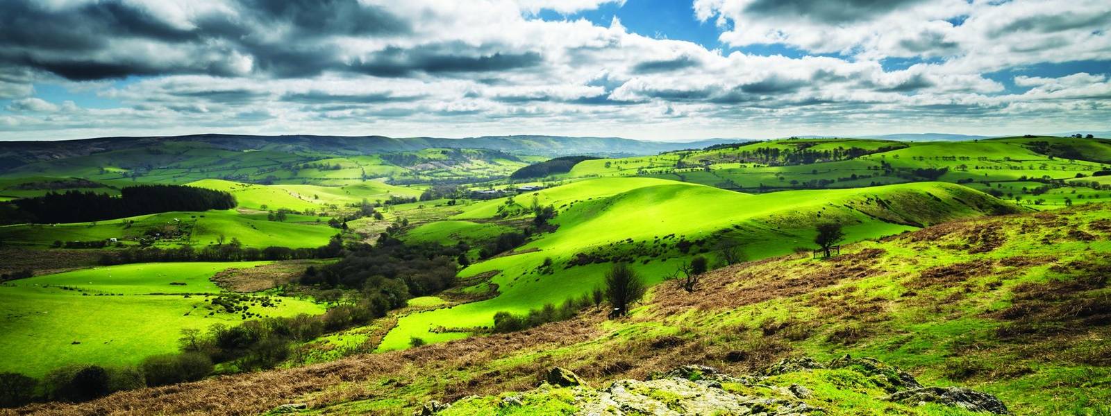 British Countryside Green Hills at Spring