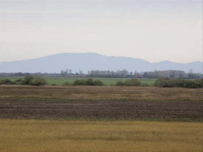 Rural Hungary (Malcolm Stott)