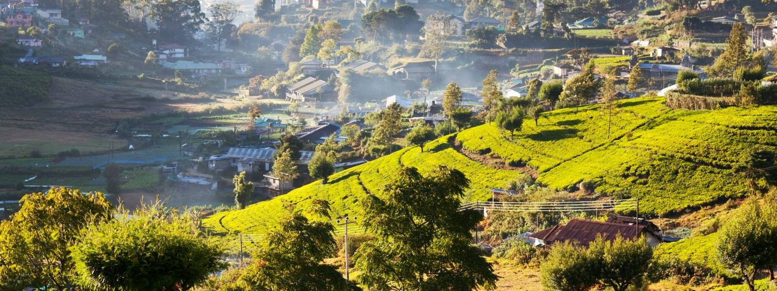 Sri Lanka landscapes