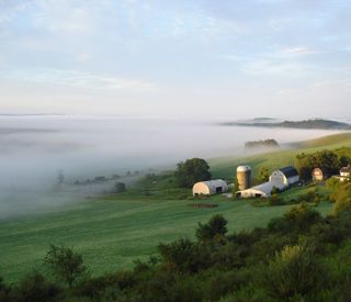 Haleys-Farm-scenic-hillside.JPG