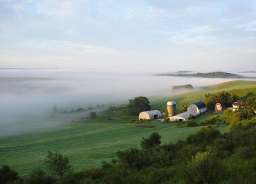 Haleys-Farm-scenic-hillside.JPG