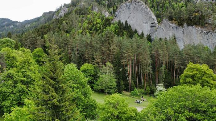 Borjomi