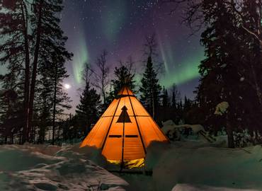 Swedish Lapland - Northern Lights & Winter Wildlife