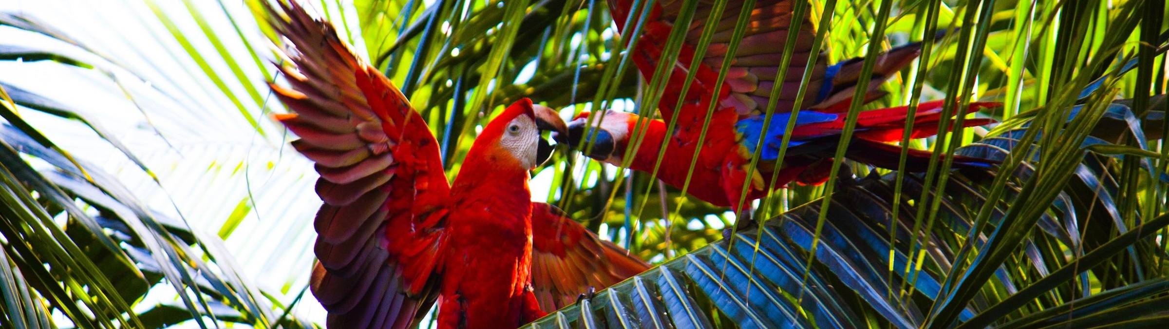 RESIZED debora-tingley-4XWi39Bys8k-unsplash.jpg