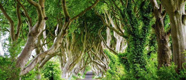 G Adventures Highlights of Ireland.jpg