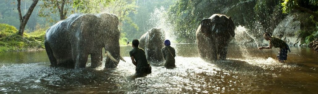 New Holidays & Experiences for 2020