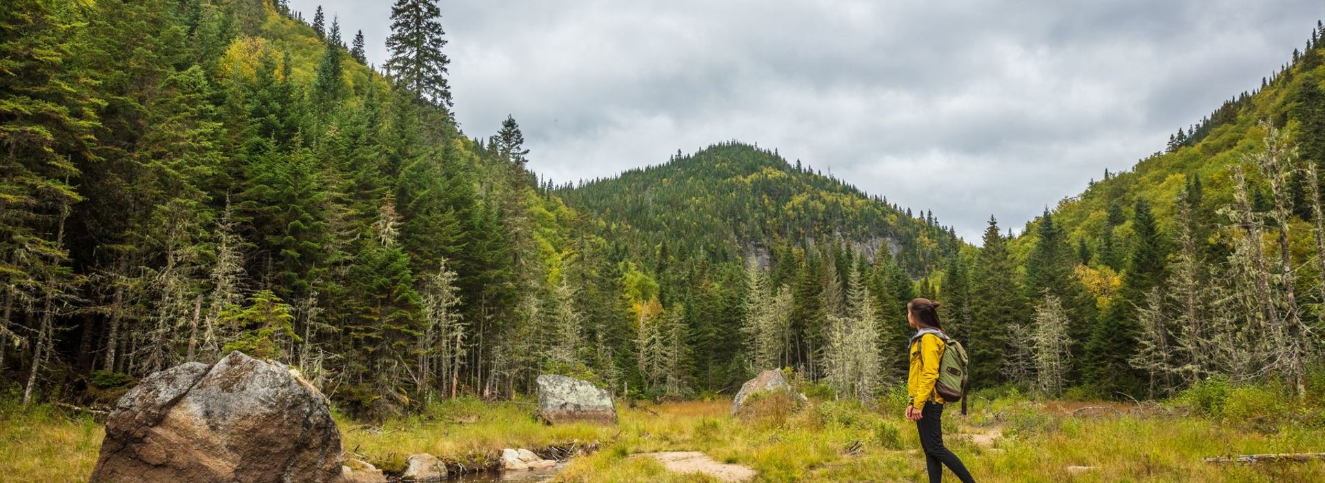 beaver-damn-quebec-national-park-hiking-shutterstock.jpg