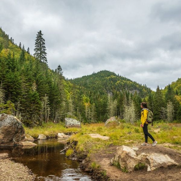 beaver-damn-quebec-national-park-hiking-shutterstock.jpg