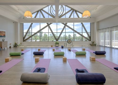 Curative Therapies