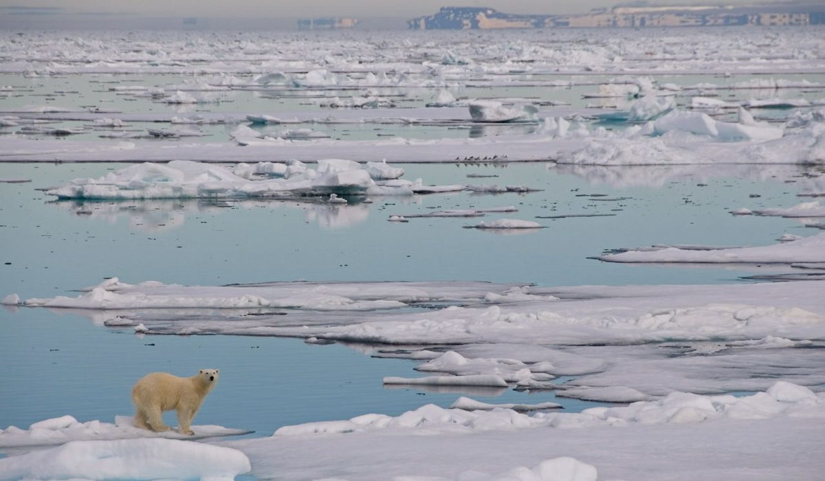 News in Brief: Spitsbergen, Switzerland, Spain & the UK