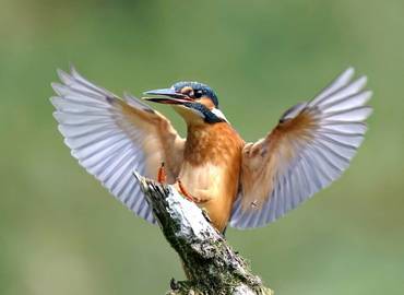 Southern Scotland Photography Tour