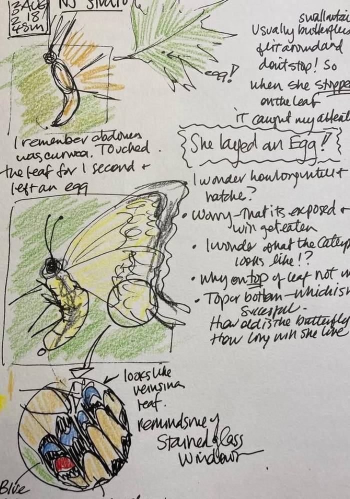 Nature Journalling (Melinda Nakagawa)