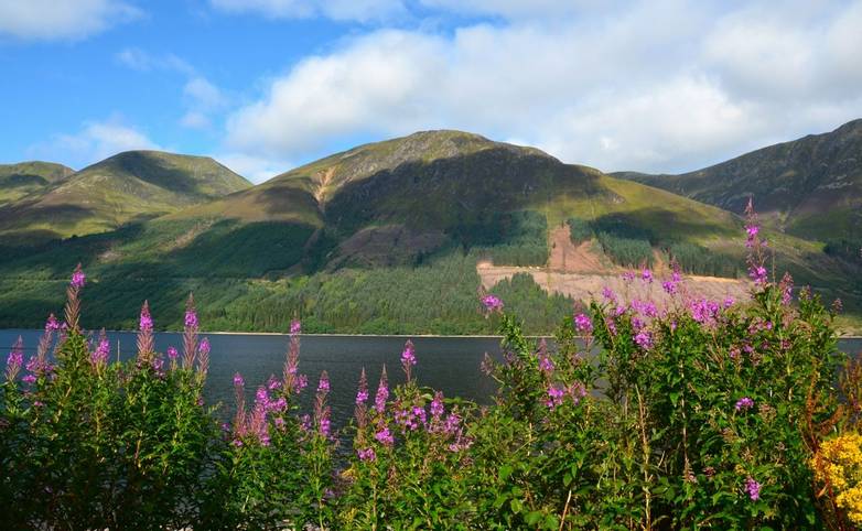 Scottish Highlands - Walking With Sightseeing - AdobeStock_51201819.jpeg