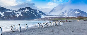 South America & Chilean Fjords Discovery