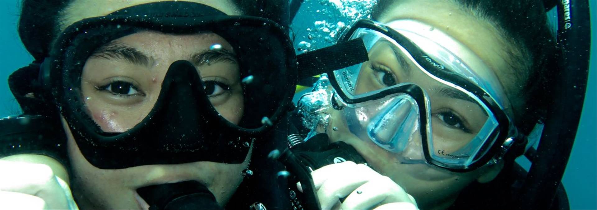 Diving 3   Borneo   Credit Borneo Dream