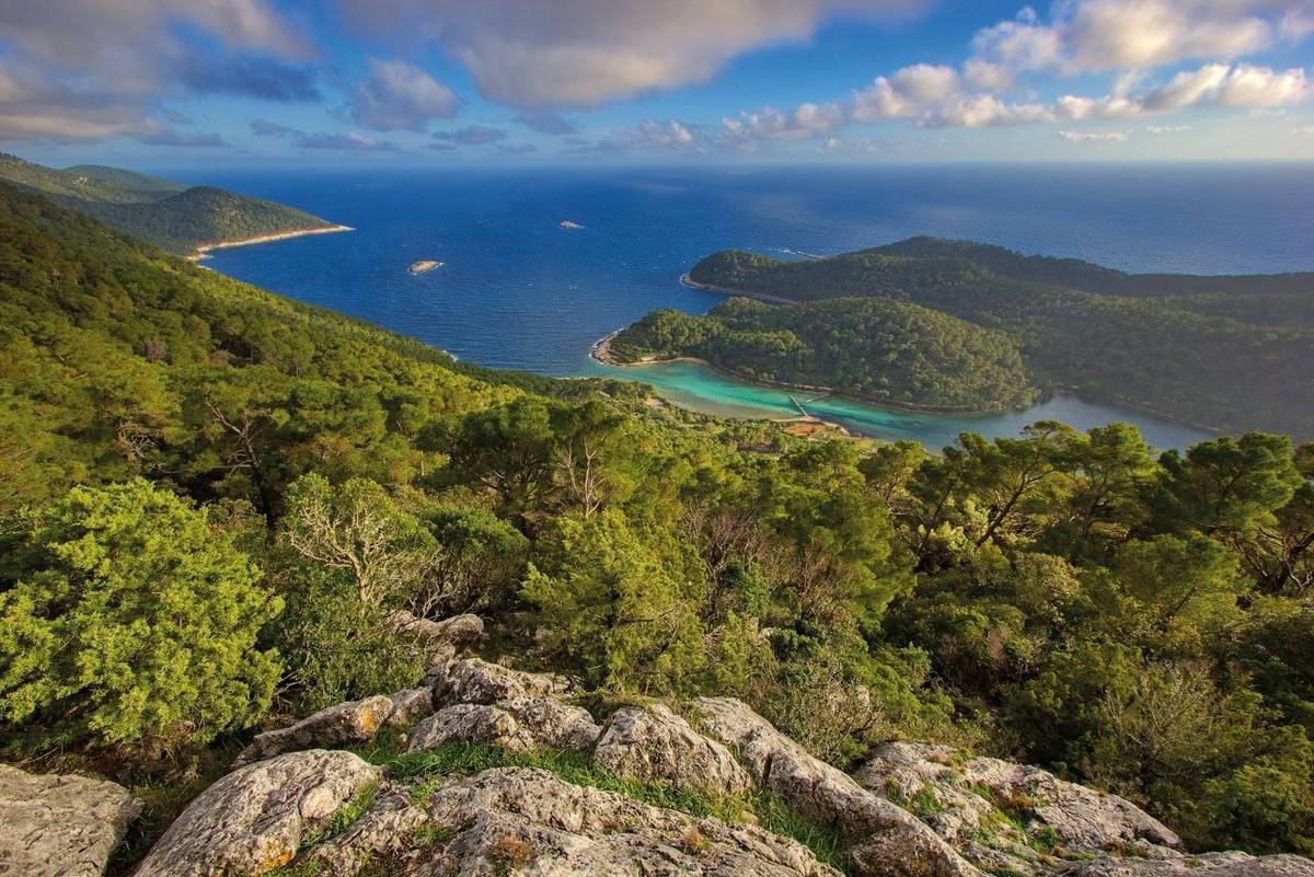 Mljet National Park in Croatia - view from the top of Montokuc to sea AdobeStock_758277860.jpeg
