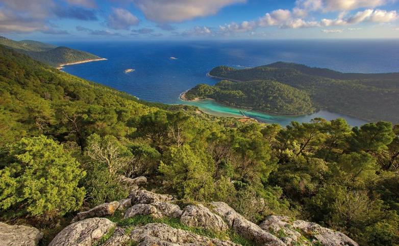 Mljet National Park in Croatia - view from the top of Montokuc to sea AdobeStock_758277860.jpeg