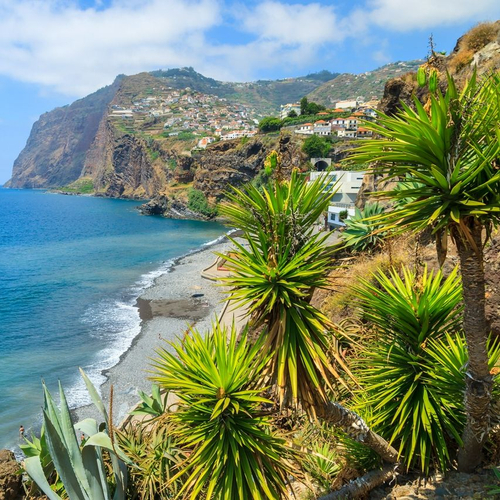 Camara de Lobos, Madeira