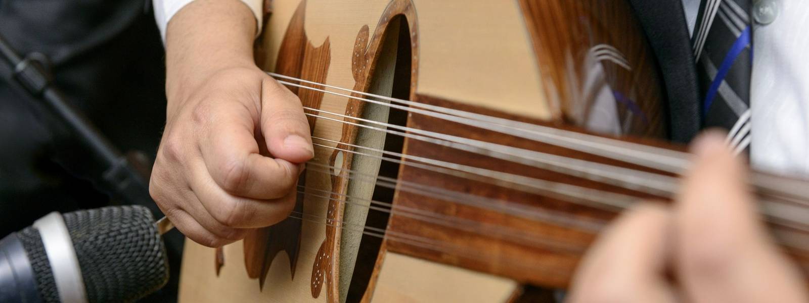 Musician Playing Note on Lute