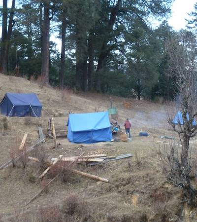 Shonath campsite in the forest