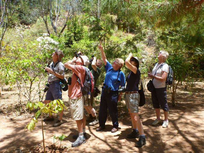 Group at the Lemurs Park (Ed Drewitt)
