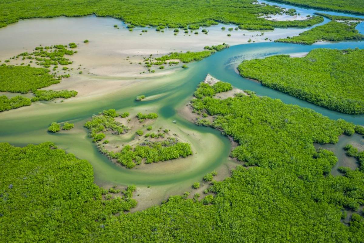 Saloum Delta National Park, Joal Fadiout, Senegal shutterstock_1571147293.jpg