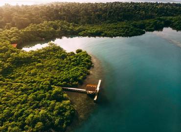 Western Panama - Chiriqui Highlands & Tranquilo Bay