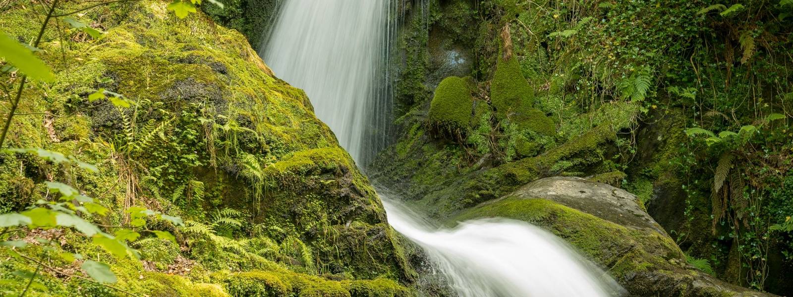 Dolgoch Waterfalls, Wales, UK