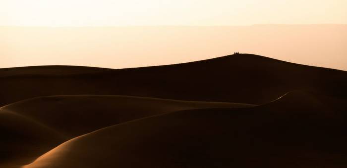 Dune landscape