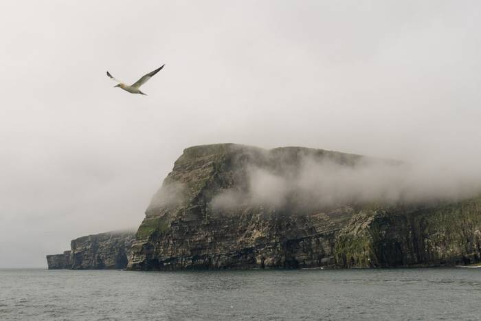 Sumburgh Head, Shetland (Sara Frost) (3).jpg