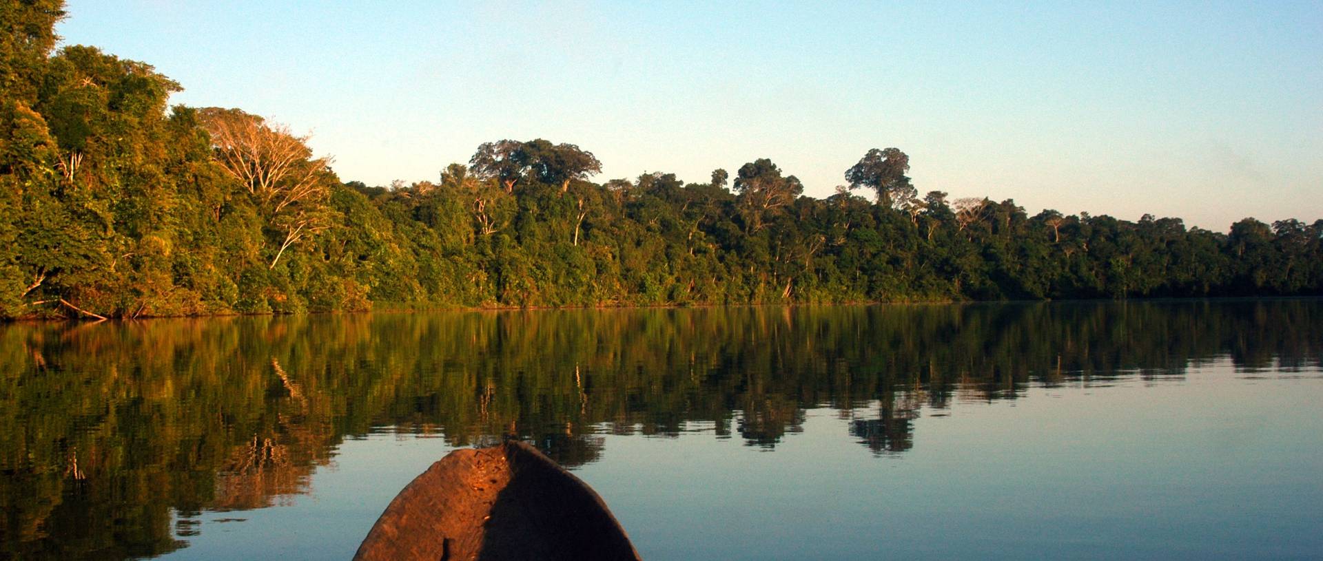 Travelling through the Amazon Jungle by boat