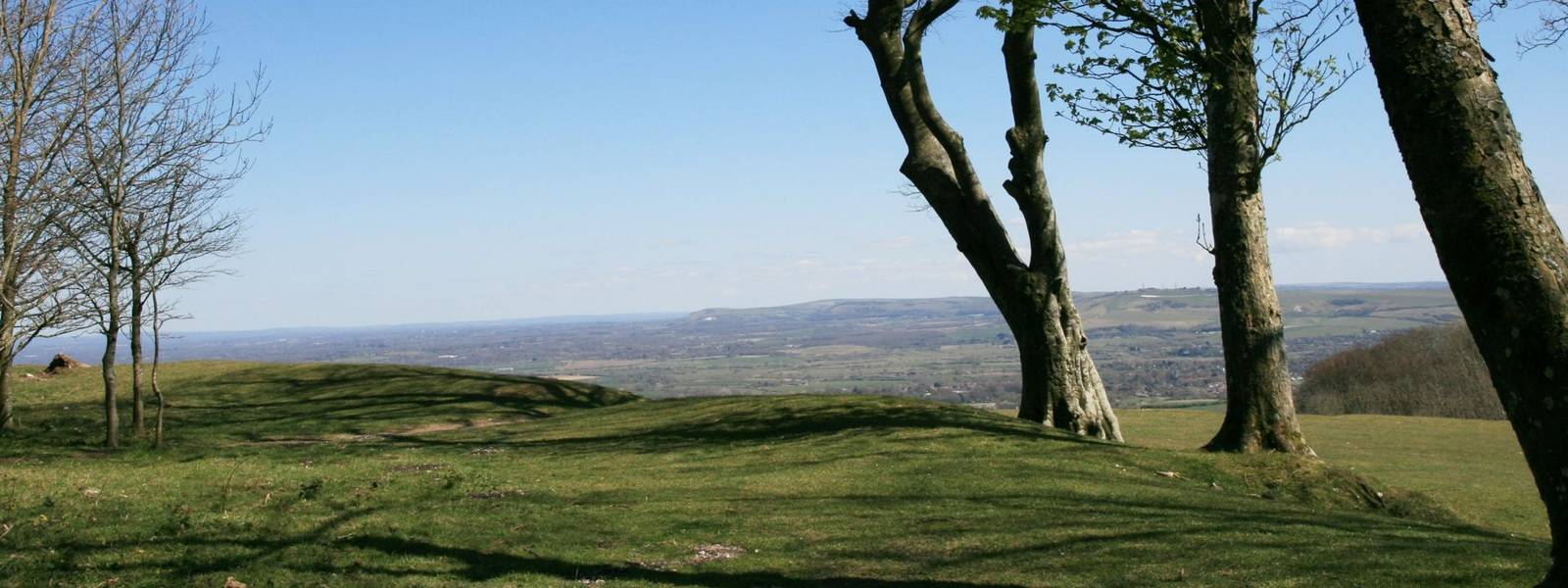 View from Chanctonbury Ring.JPG