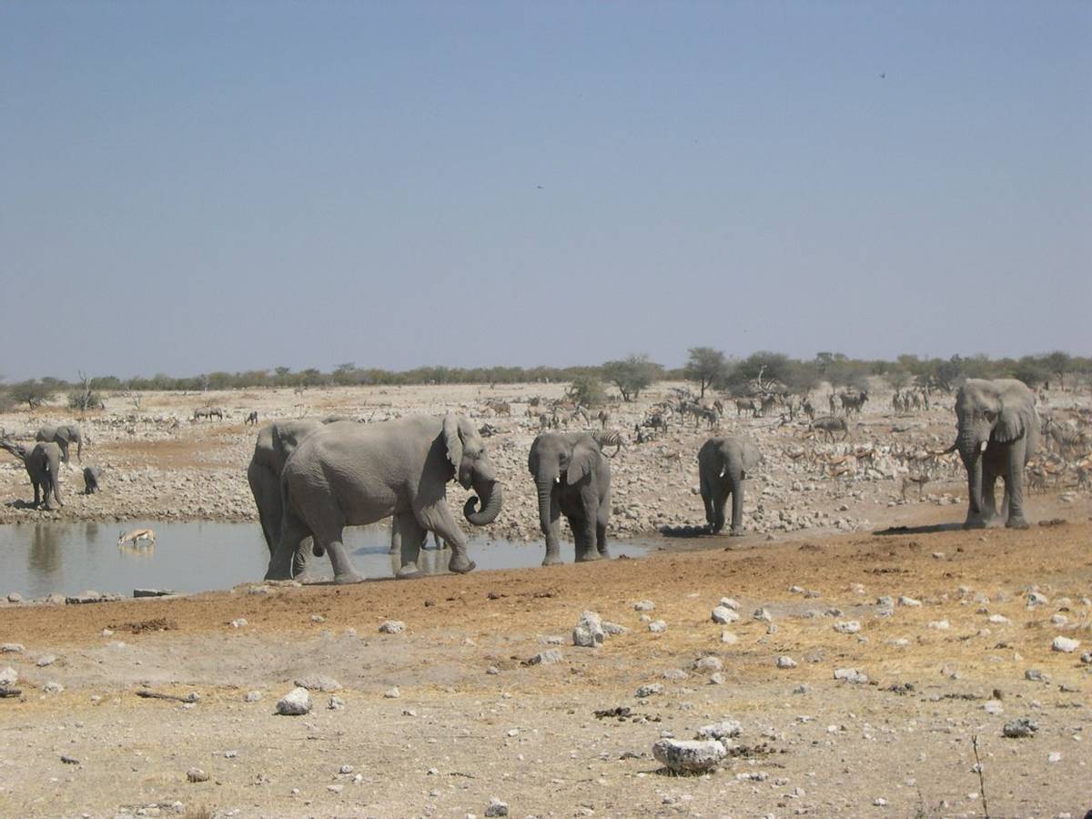 Namibia 2008 093.jpg
