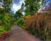 Portugal - Gardens of Madeira - Alberto Reynolds  - 30. QUINTA JARDINS DO LAGO GARDENS.tif