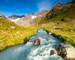 Fresh stream in river coming from glaciers up the valley near Neue Regensburger huette, Stubai Tyrol Alps, Austria.
