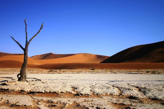 Photo Competition - Sossusvlei sand dunes Namibia