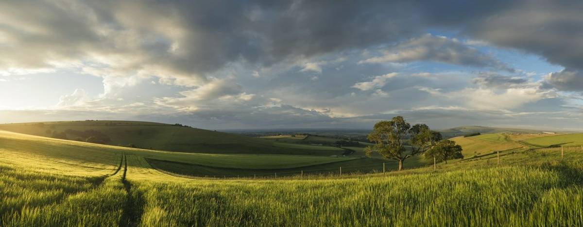 Beautiful panorama landscape South Downs countryside in Summer
