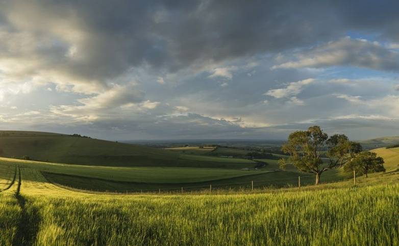 Beautiful panorama landscape South Downs countryside in Summer