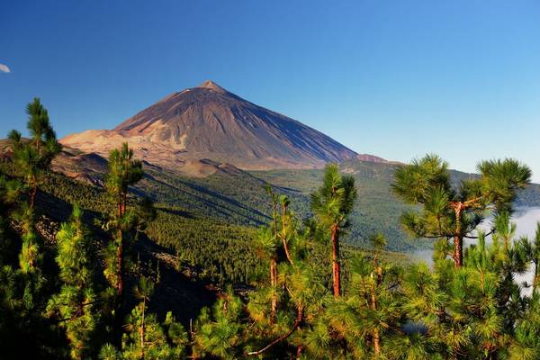 El Teide National Park, Canary Islands, Spain Shutterstock 237003448