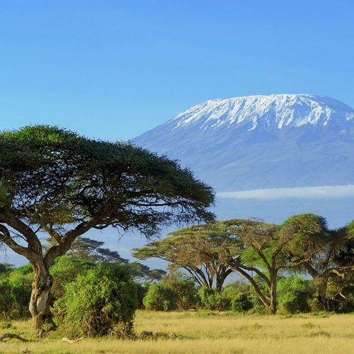 Kilimanjaro Training Guide: How to Prepare for Your Trek to the Roof of Africa