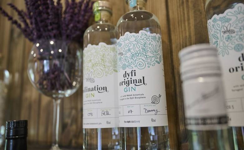 Dolserau Hall Local Dyfi Gin.jpg