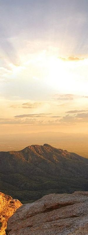 Lifestyle Reset Pathway in Tucson