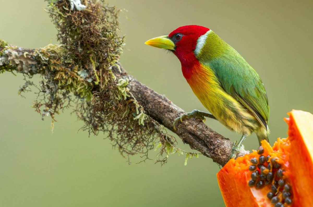 Panama – Photo Gallery