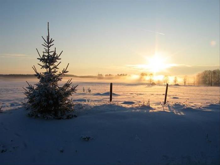 Winter sunset (Daniel Green)