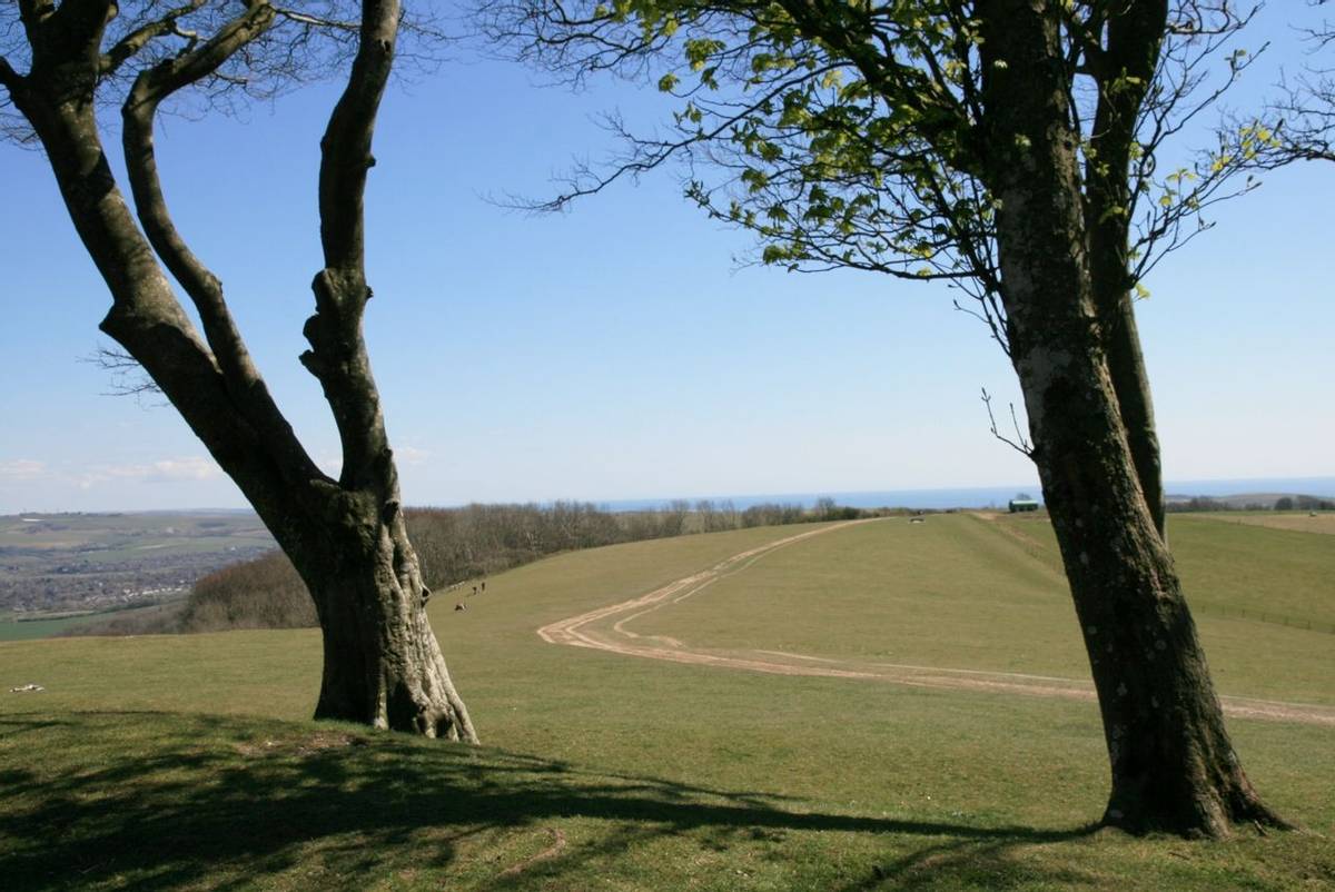 View of South Downs Way from Chanctonbury Ring.JPG