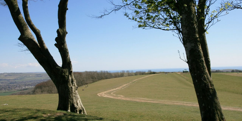 2-night South Downs Tread Lightly Guided Walking