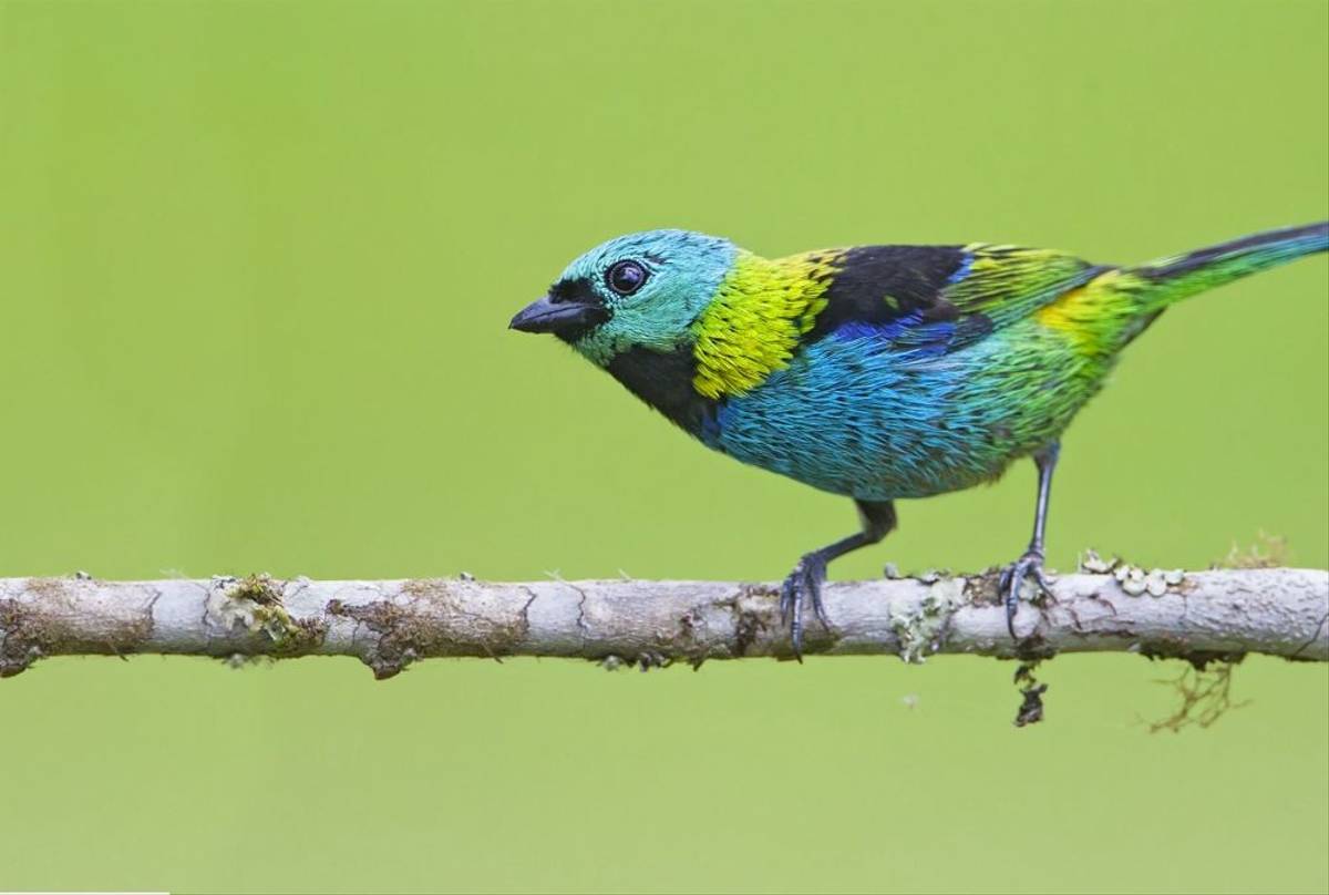 Shutterstock 389597095