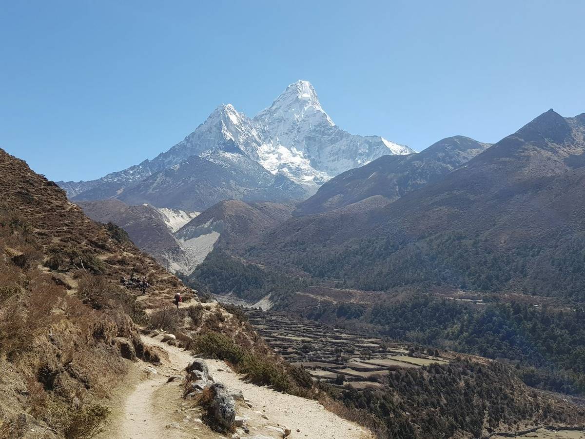 Copy of 20190412_094437.jpg