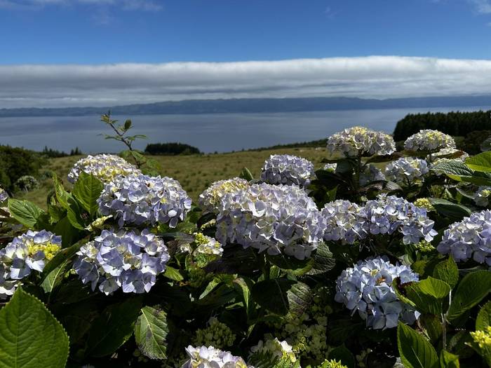 View over the sea from Pico (Sara Frost).jpg